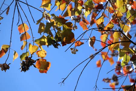 1678839248703057282.jpg 11.jpg