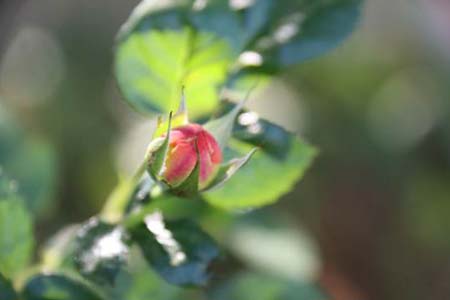 1678839396676058689.jpg 14.jpg